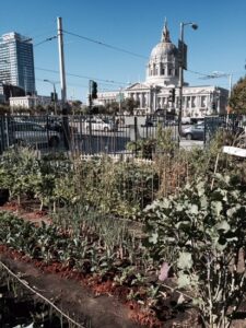 How to Sheet Mulch to Improve Your Yields Image